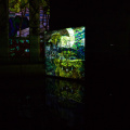 IMG 0403